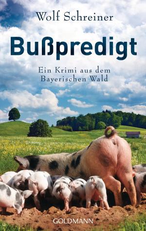Cover of the book Bußpredigt by James Patterson, Maxine Paetro