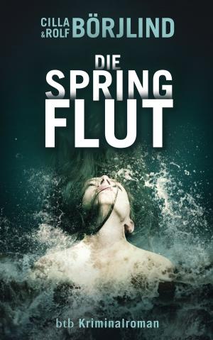 Cover of the book Die Springflut by Yrsa Sigurdardóttir