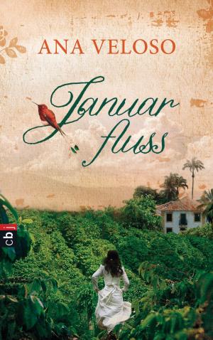 Cover of the book Januarfluss by Anu Stohner