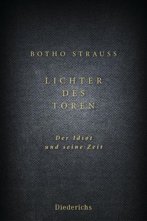Cover of the book Lichter des Toren by Peter Sloterdijk