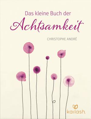 Cover of the book Das kleine Buch der Achtsamkeit by Valentin Kirschgruber