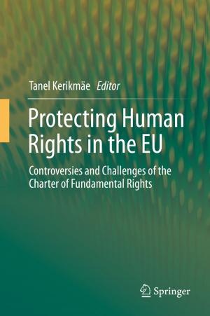 Cover of the book Protecting Human Rights in the EU by Xianzhi Zhang