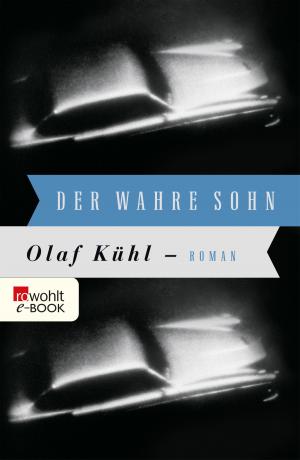 Cover of the book Der wahre Sohn by Petra Oelker