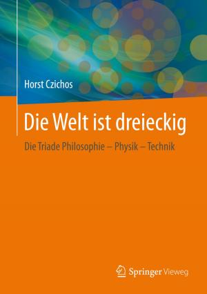 Cover of the book Die Welt ist dreieckig by Jürgen Staab