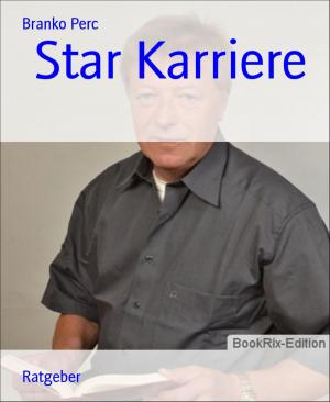 Book cover of Star Karriere