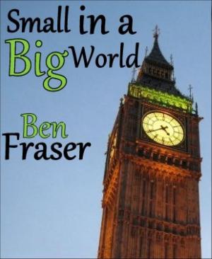 Book cover of Small in a Big World