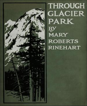 Book cover of Through Glacier Park