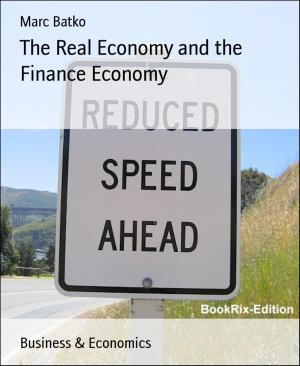 Cover of the book The Real Economy and the Finance Economy by Luise Hakasi