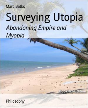 Cover of the book Surveying Utopia by Jim E. Beer