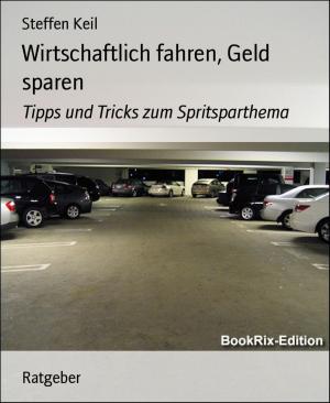 Cover of the book Wirtschaftlich fahren, Geld sparen by Jayaseelan Samuel