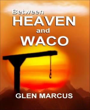 Cover of the book Between Heaven and Waco by Brida Baardwijk