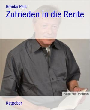 Cover of the book Zufrieden in die Rente by Angela Körner-Armbruster