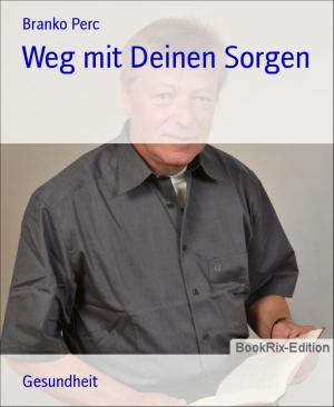 Book cover of Weg mit Deinen Sorgen
