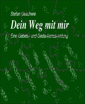 Cover of the book Dein Weg mit mir by Mattis Lundqvist