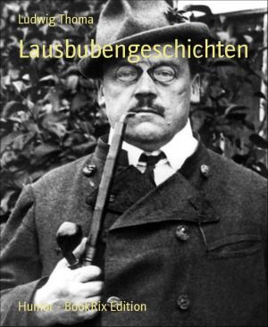 Cover of the book Lausbubengeschichten by Wolf G. Rahn