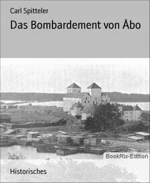 Book cover of Das Bombardement von Åbo