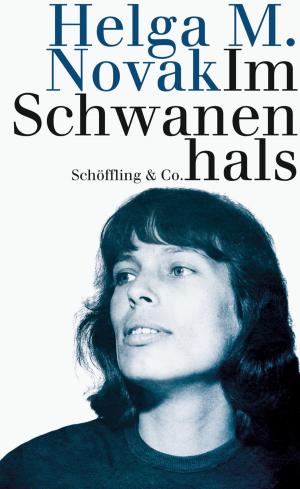 Cover of the book Im Schwanenhals by Burkhard Spinnen