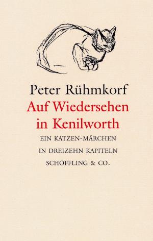 Cover of the book Auf Wiedersehen in Kenilworth by Clarice Lispector, Colm Tóibín