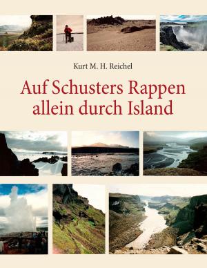 Book cover of Auf Schusters Rappen allein durch Island