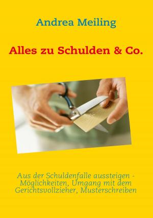 Cover of the book Alles zu Schulden & Co. by Theo von Taane