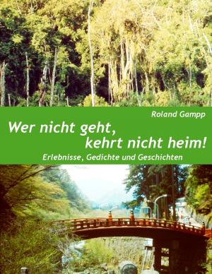Cover of the book Wer nicht geht, kehrt nicht heim by Martin Orack