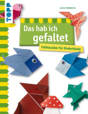 Cover of the book Das hab ich gefaltet by Silvia Frank