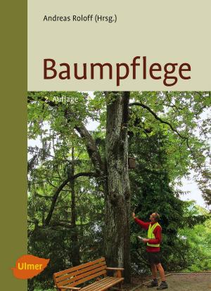Cover of the book Baumpflege by Marc-Wilhelm Kohfink