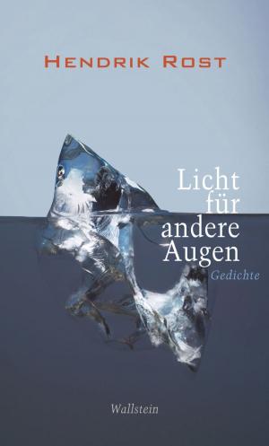 Cover of the book Licht für andere Augen by 