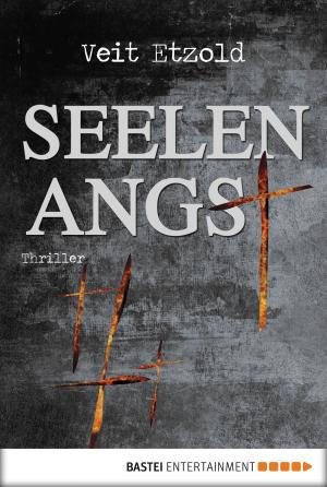Cover of the book Seelenangst by Lauren Dane, Megan Hart