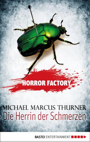 Book cover of Horror Factory - Die Herrin der Schmerzen