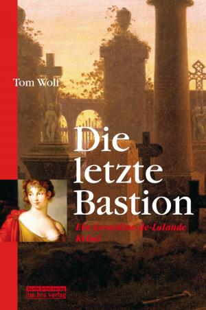 Cover of the book Die letzte Bastion by Falko Rademacher