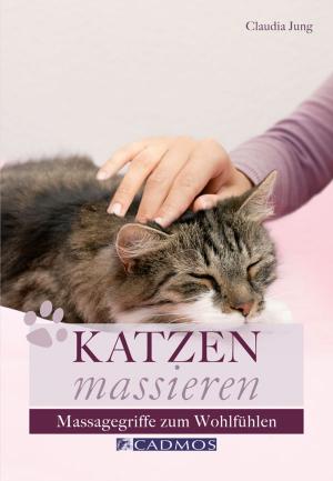 Cover of the book Katzen massieren by Ellen M. Puff, Illustrator Heeyun Kim