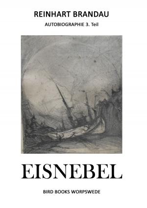 Cover of the book Eisnebel by Nicola Morgenroth