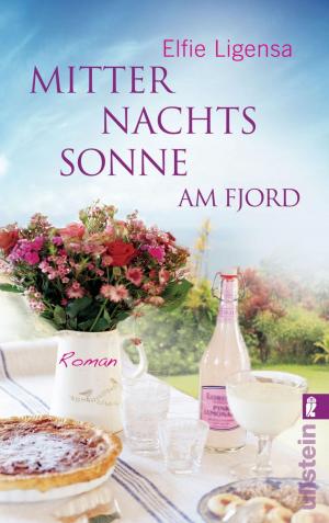 Cover of the book Mitternachtssonne am Fjord by Kim Karr