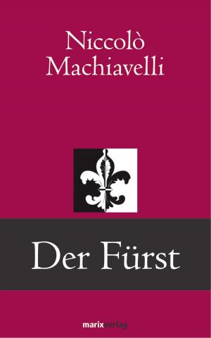 Cover of the book Der Fürst by John Andreas Fuchs