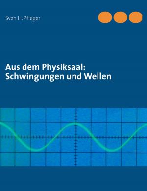Cover of the book Aus dem Physiksaal: Schwingungen und Wellen by Marlene Milena Abdel Aziz - Schachner, Abdelrahmin Liban
