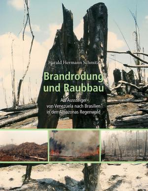 Cover of the book Brandrodung and Raubbau by Klaus Hinrichsen