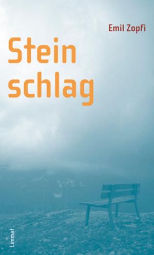 Cover of the book Steinschlag by Friedrich Glauser, Hannes Binder