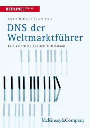 Cover of the book DNS der Weltmarktführer by Stefan Gröner, Stephanie Heinecke
