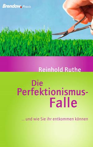 Cover of the book Die Perfektionismus-Falle by Inken Weiand