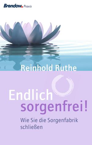 Cover of the book Endlich sorgenfrei! by Albrecht Gralle