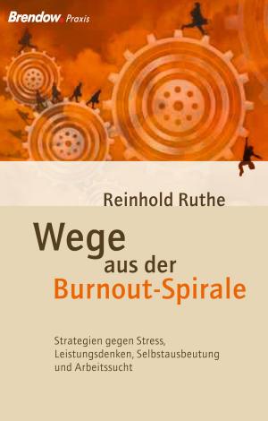 Book cover of Wege aus der Burnout-Spirale