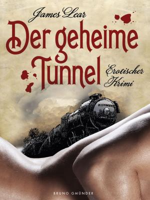 Cover of the book Der geheime Tunnel by David McConnell