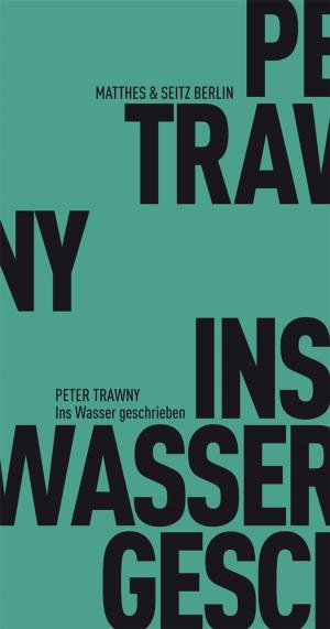 Cover of the book Ins Wasser geschrieben by César Aira