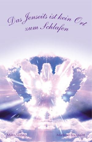 Cover of the book Das Jenseits ist kein Ort zum Schlafen by Santoro Eddie