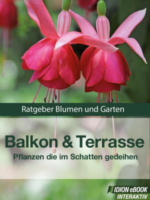 Book cover of Balkon & Terasse - Pflanzen die im Schatten gedeihen
