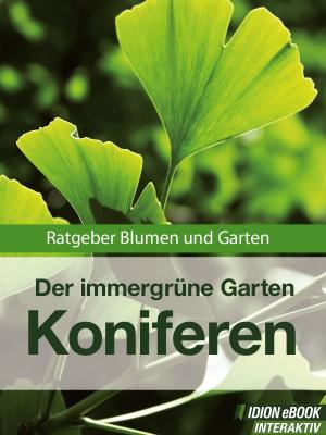 Book cover of Koniferen - Der immergrüne Garten