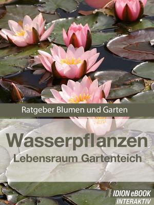 Book cover of Wasserpflanzen - Lebensraum Gartenteich