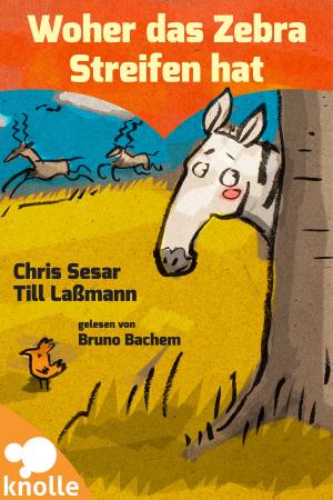 Cover of the book Woher das Zebra Streifen hat by Alan Trussell-Cullen