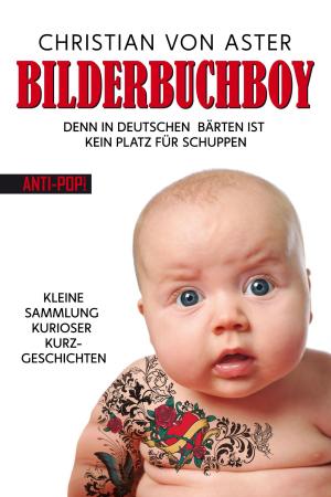 Book cover of Bilderbuchboy
